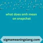 what does smh mean on snapchat