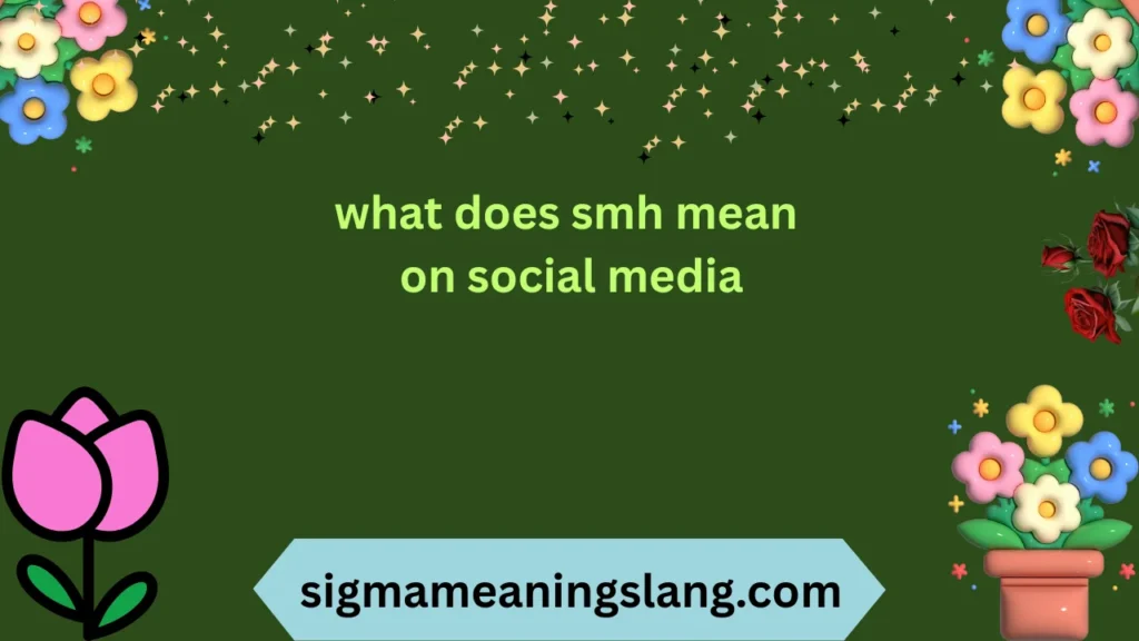 what does smh mean on social media