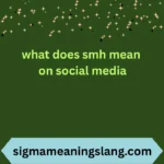 what does smh mean on social media