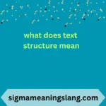 what does text structure mean