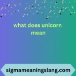 what does unicorn mean