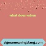 what does wdym