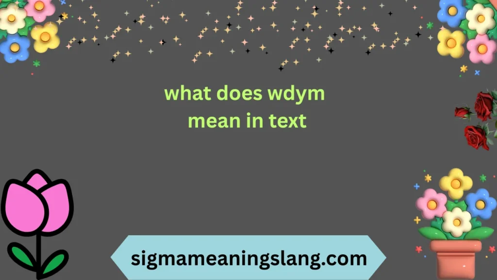 what does wdym mean in text