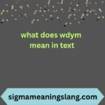 what does wdym mean in text