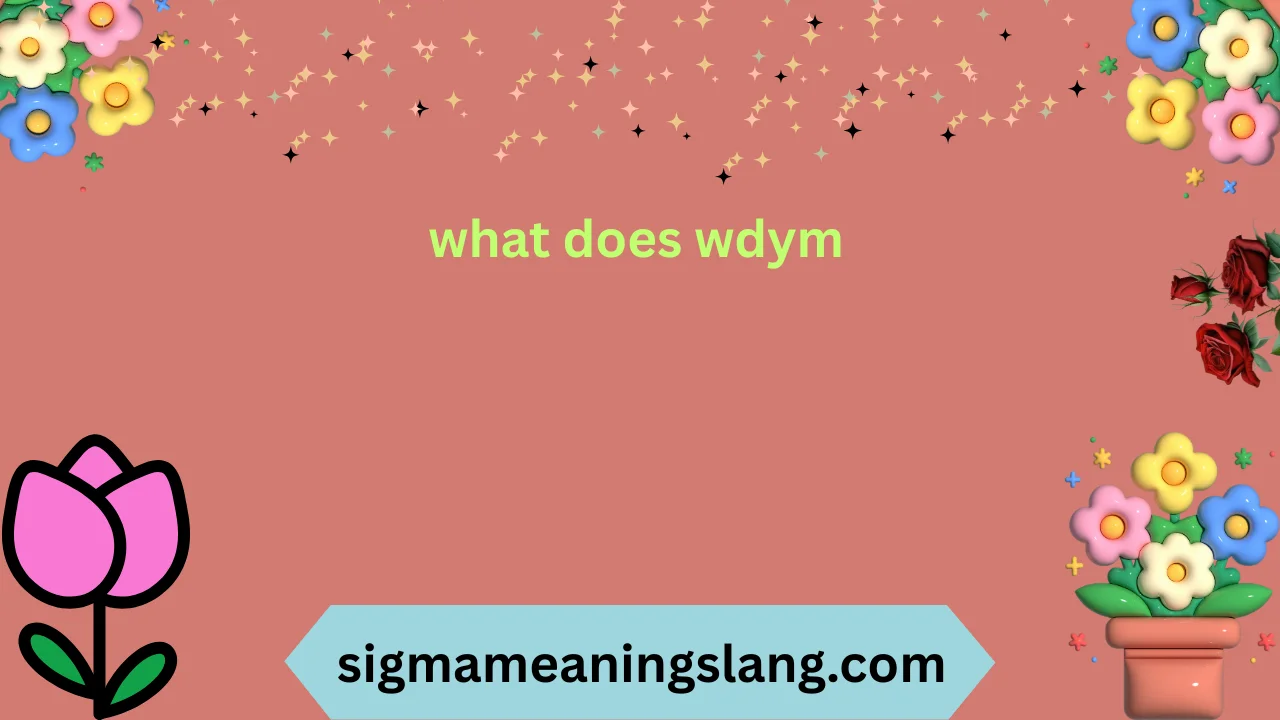 what does wdym