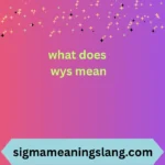 what does wys mean