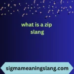 what is a zip slang