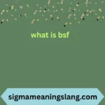 what is bsf