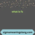 what is fs