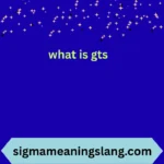 what is gts