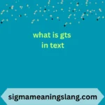 what is gts in text
