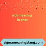 wth meaning in chat