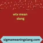 wtv mean