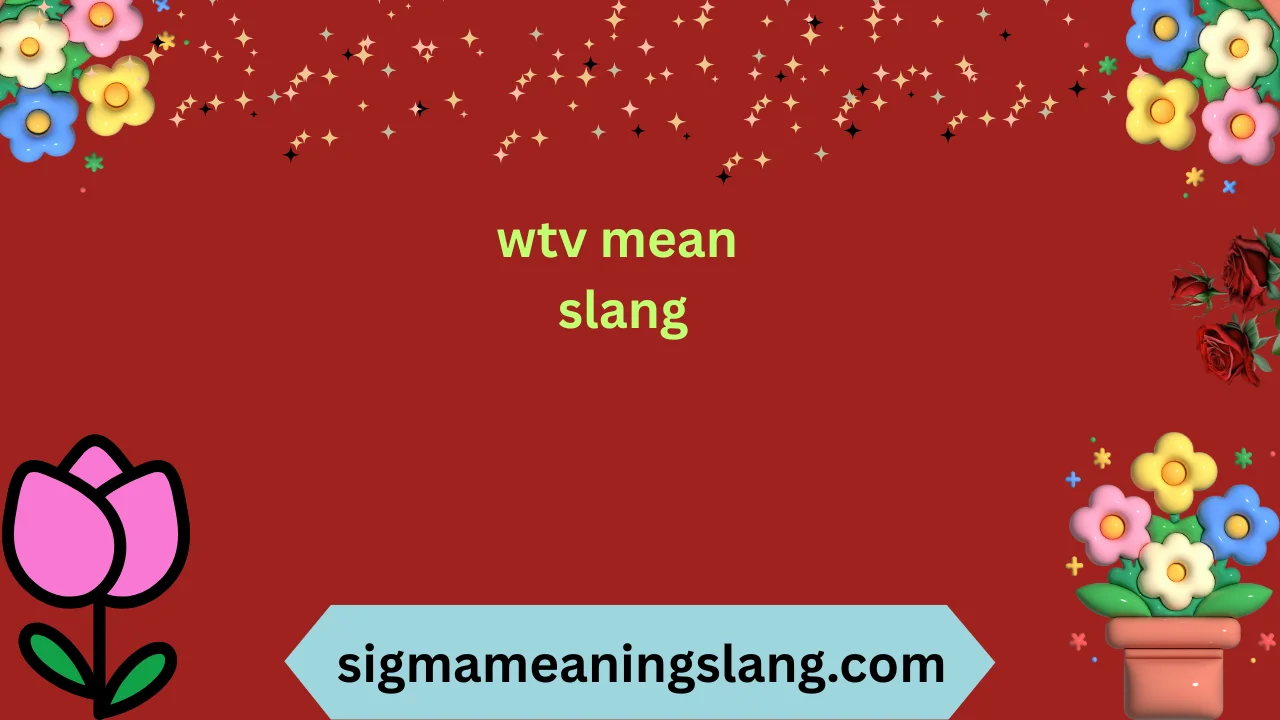 wtv mean