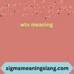 wtv meaning