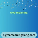 wyd meaning