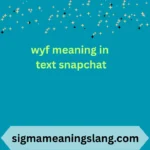 wyf meaning in text snapchat