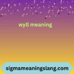 wyll meaning