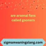are arsenal fans called gooners