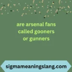 are arsenal fans called gooners or gunners