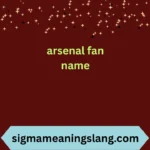 arsenal fan name