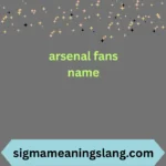 arsenal fans name