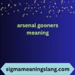 arsenal gooners meaning