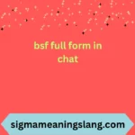 bsf full form in chat