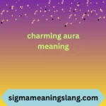 charming aura meaning