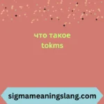 что такое tokms