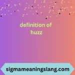 definition of huzz