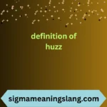 definition of huzz