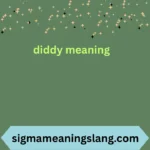 diddy meaning