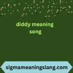 diddy meaning song