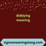 diddying meaning