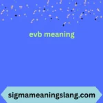evb meaning