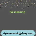 fye meaning