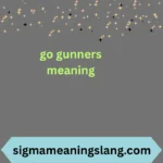 go gunners meaning