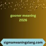 gooner meaning 2026