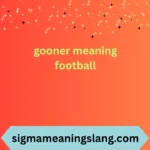 gooner meaning football