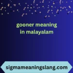 gooner meaning in malayalam
