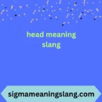 head meaning slang