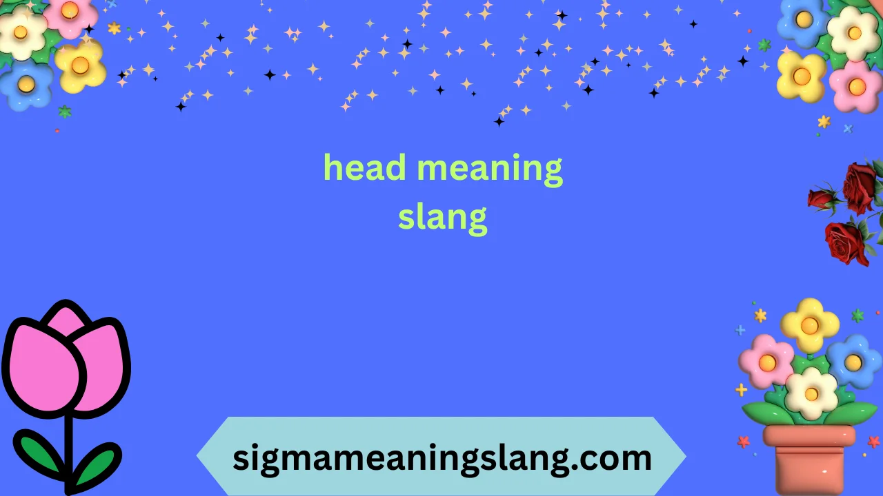 head meaning slang