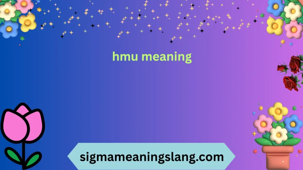 hmu meaning