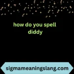 how do you spell diddy