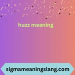 huzz meaning