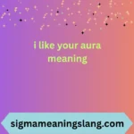 i like your aura meaning