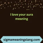 i love your aura meaning
