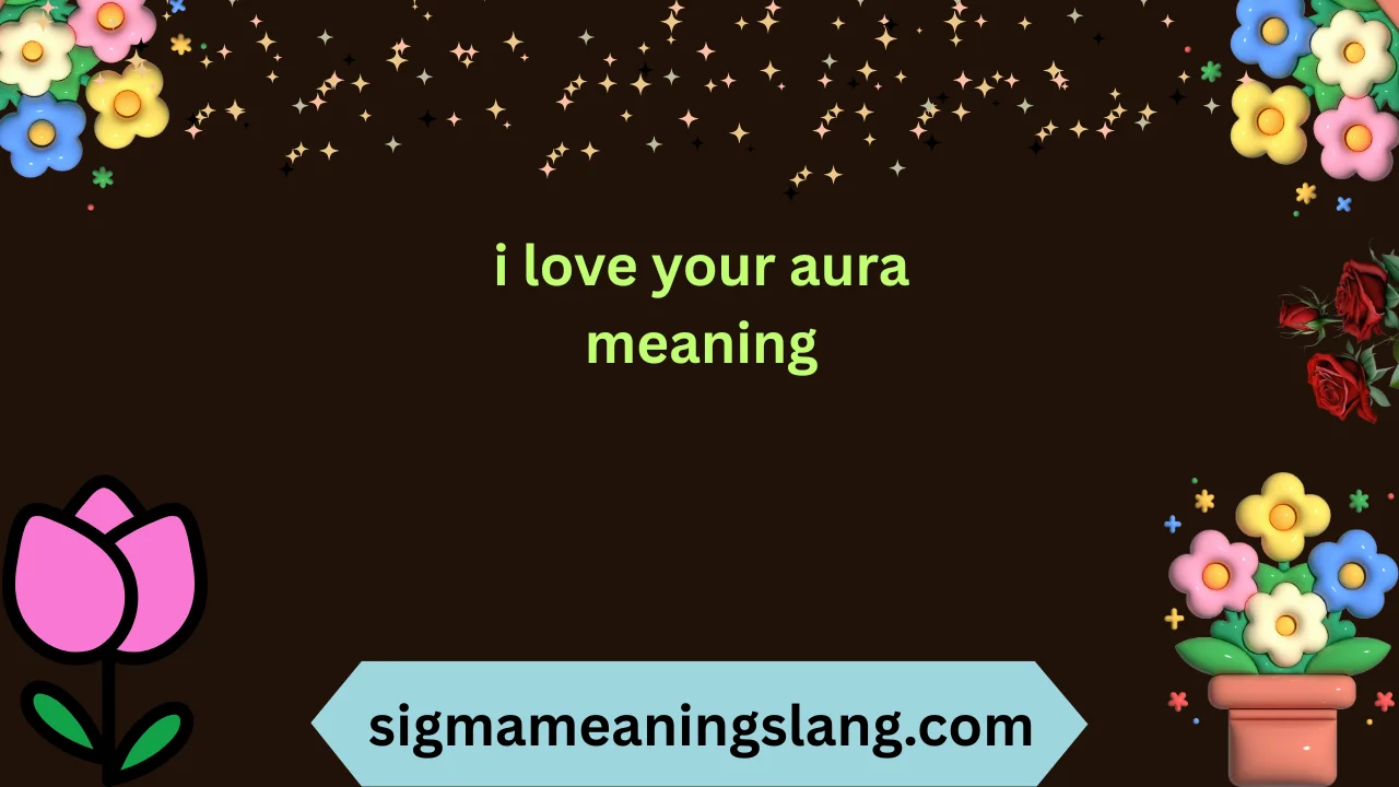 i love your aura meaning