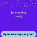 joi meaning slang